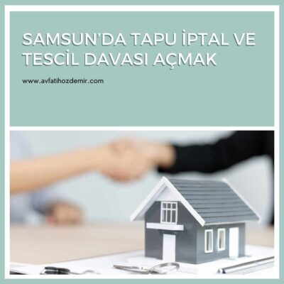 Samsun’da Tapu İptal Davası Nasıl Açılır?