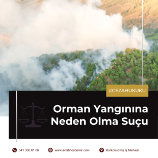 Orman Yangınına Neden Olma Suçu
